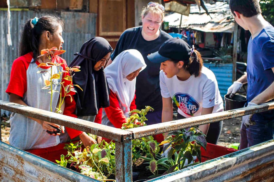 XSProject gardening project